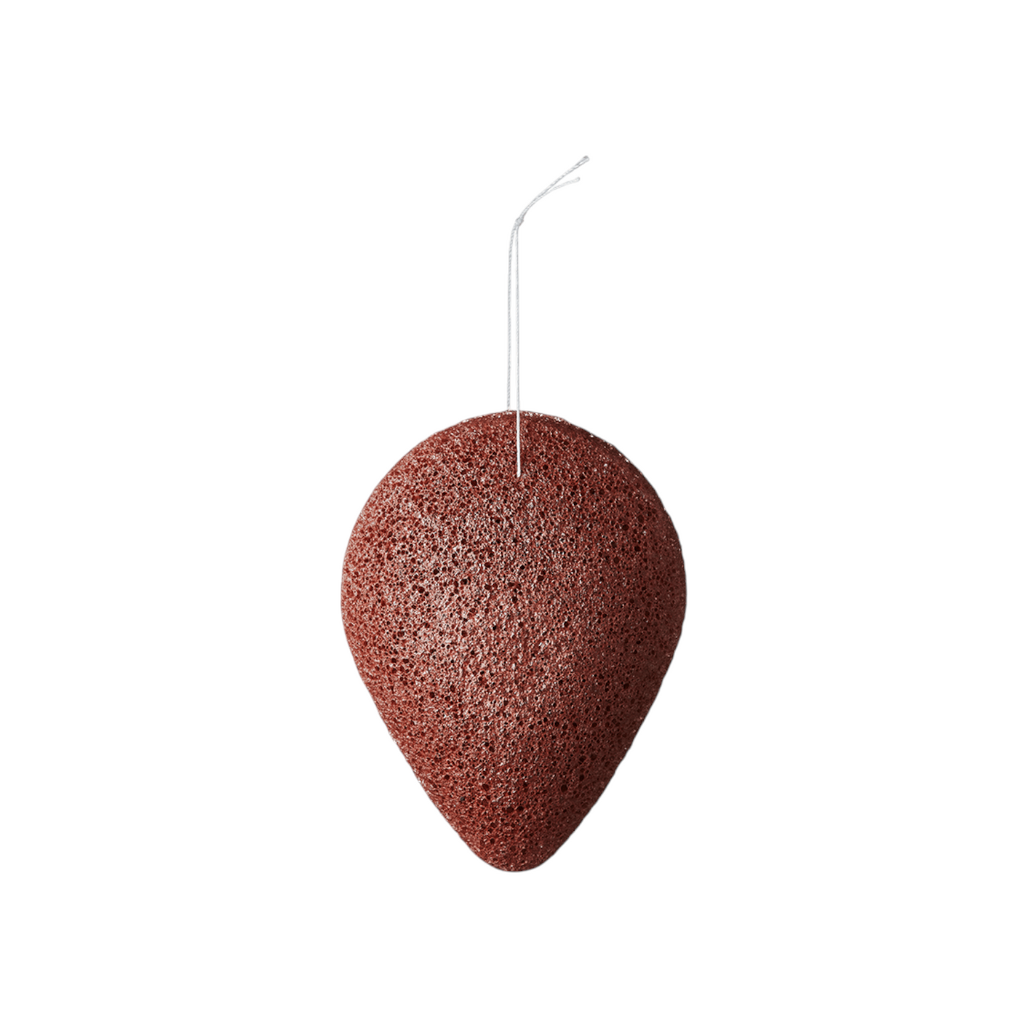 JEJU Volcanic Scoria Konjac Spon